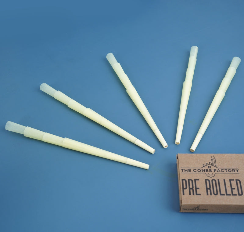 1-1/4 (84MM) PRE ROLLED CONES - MELLOW YELLOW - BOX OF 900 CONES